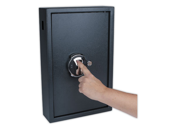 1 Armoire à clés Haute Sécurité Empreinte Digitale PAVO - 50 clés