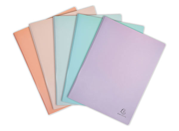 1 Protège-documents soudé Aquarel - 40 poches - Assortis