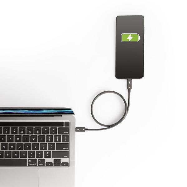 StarTech.com Câble Thunderbolt 4 de 50cm - 40Gbps, 100W PD - Vidéo 4K/8K - Câble Thunderbolt - Thunderbolt 4 (M) pour Thunderbolt 4 (M) - USB4/Thunderbolt 3/USB 3.2/USB Type-C/DisplayPort - 50 cm - passif, support 4K, support 8K, Alimentation USB (100 W)