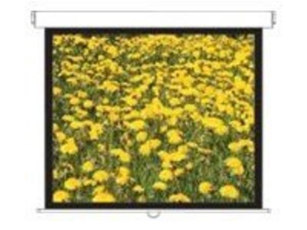 OPTOMA DS-3120PMG+ Ecran de Projection Manuel 4/3  175x234cm