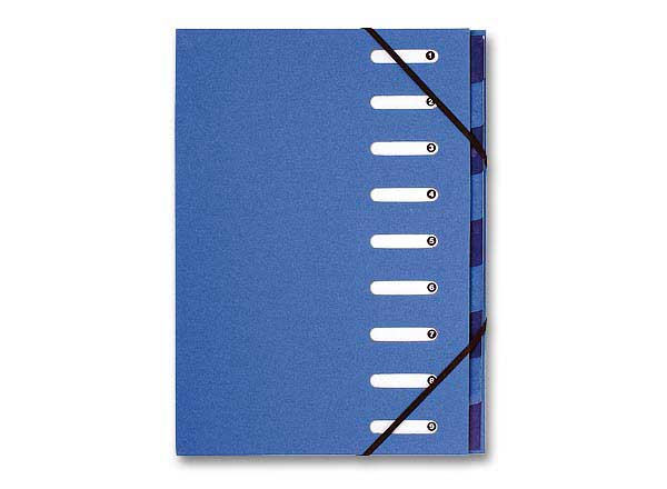 1 Trieur carte Forever 9 compartiments -bleu