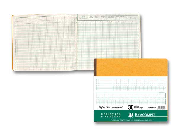 1 Piqûre comptable à tête paresseuse 31 lignes - 30 colonnes sur 2 pages