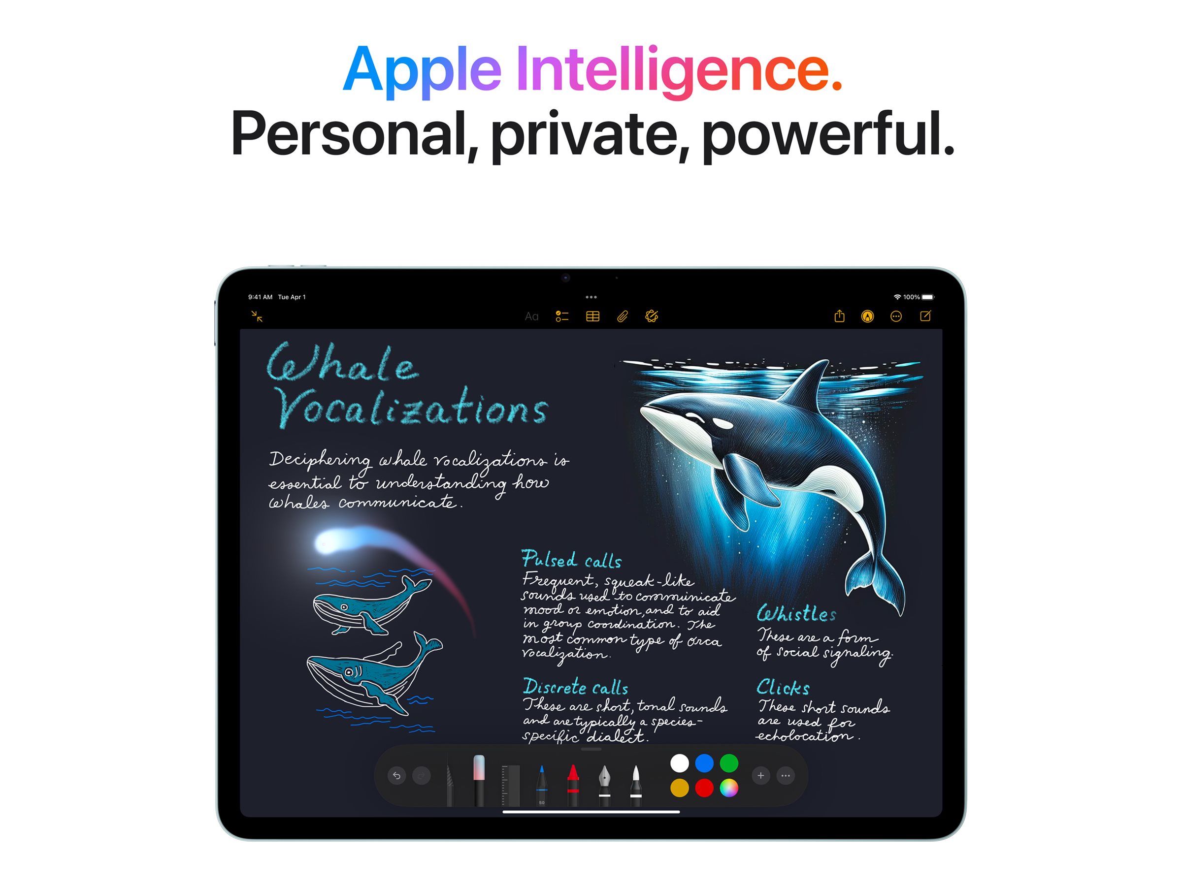 Apple 13-inch iPad Air M3 Wi-Fi - Tablette - 256 Go - 13" IPS (2732 x 2048) - lumière des étoiles