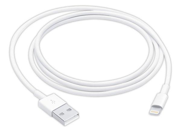 1 Câble USB / Lightning 1 m APPLE