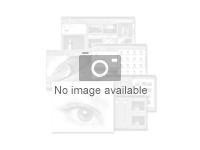 Good Dynamics GoodReader - Licence - 1 licence d'accès client utilisateur - ESD - iOS