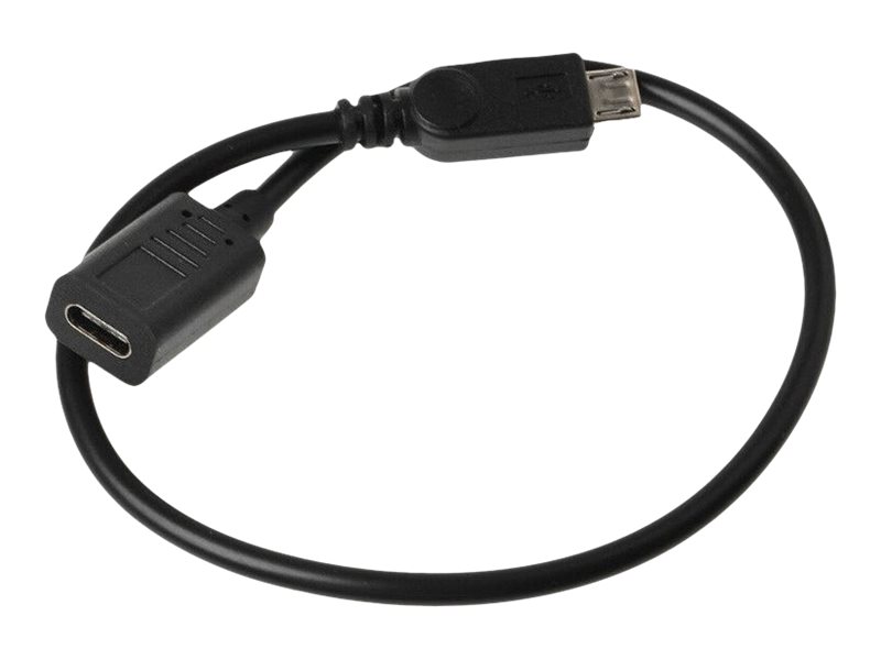 DLH - Adaptateur USB - 24 pin USB-C (F) pour Micro-USB de type B (M) - USB 2.0 - 31 cm - noir