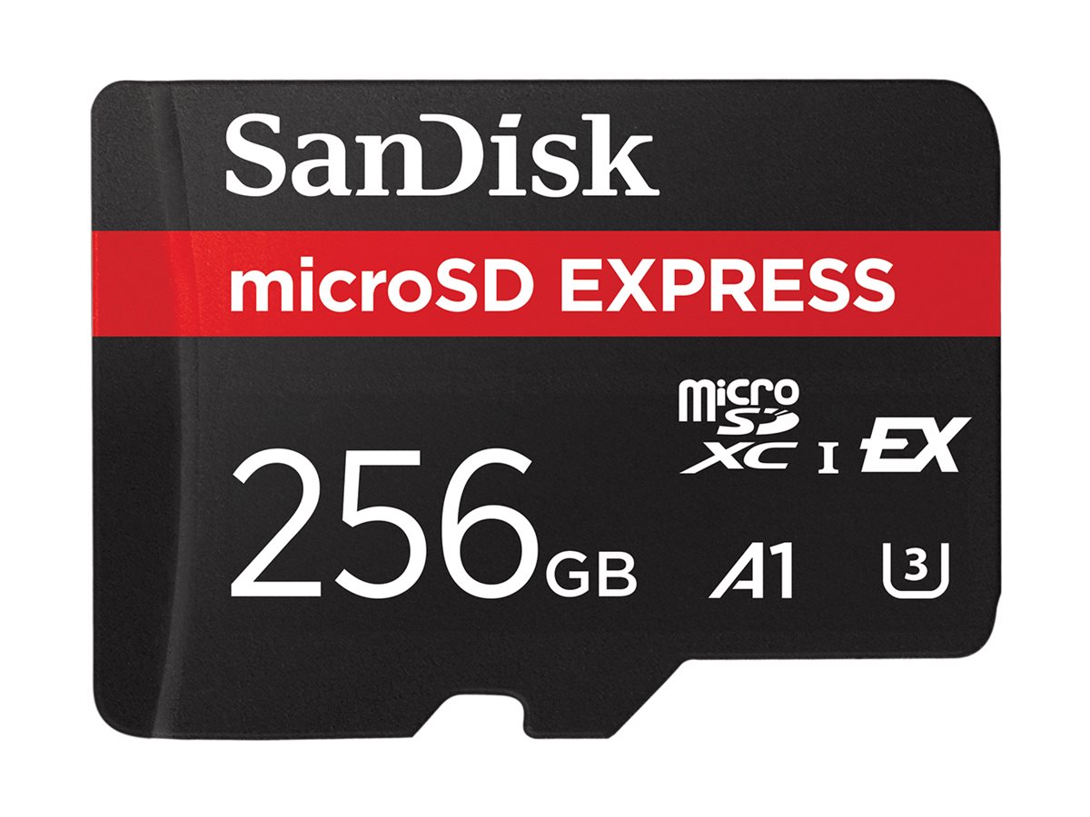 SanDisk Express - Carte mémoire flash - 256 Go - microSDXC UHS-I