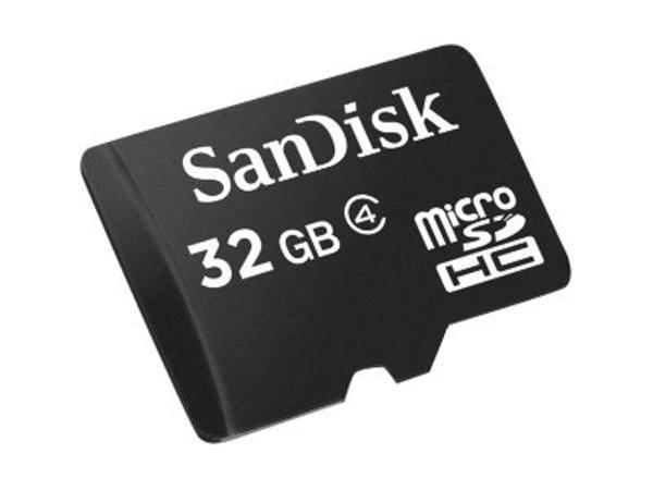 SanDisk - Carte mémoire flash - 32 Go - Class 4 - micro SDHC - noir