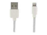 DLH DY-TU1904WG - Câble Lightning - USB mâle pour Lightning mâle - 1 m - gris, blanc