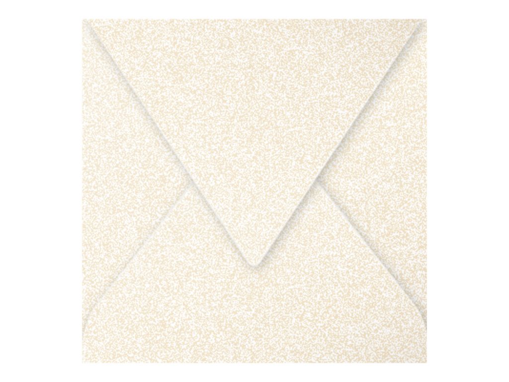 1 Carton de 5 Ramettes de 500 feuilles de papier blanc recyclé 100% E