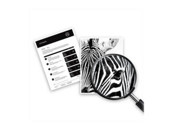 HP Cartouche d'impression noir pour papier ordinaire