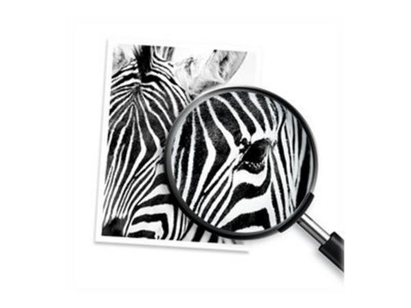 HP Cartouche d'impression noir pour papier ordinaire