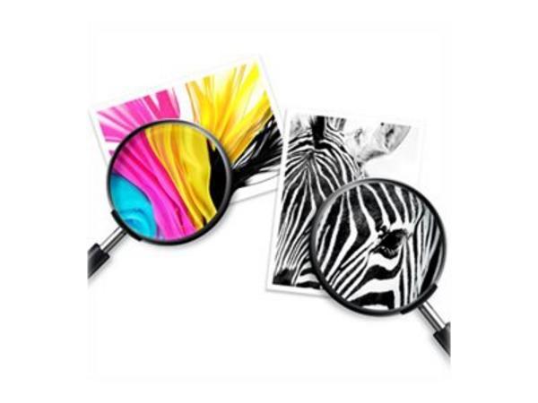 HP Cartouche d'impression noir pour papier ordinaire