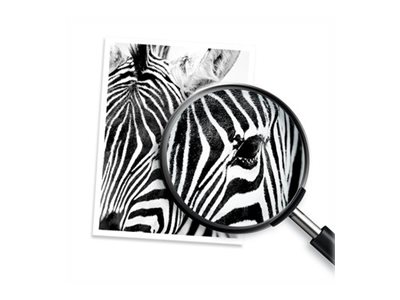 HP 971XL cartouche d'encre jaune grande capacité authentique