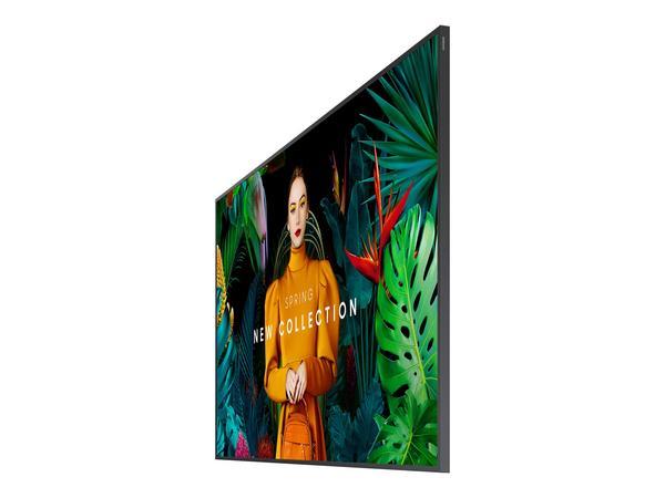 1 Ecran 55" Samsung QM55C