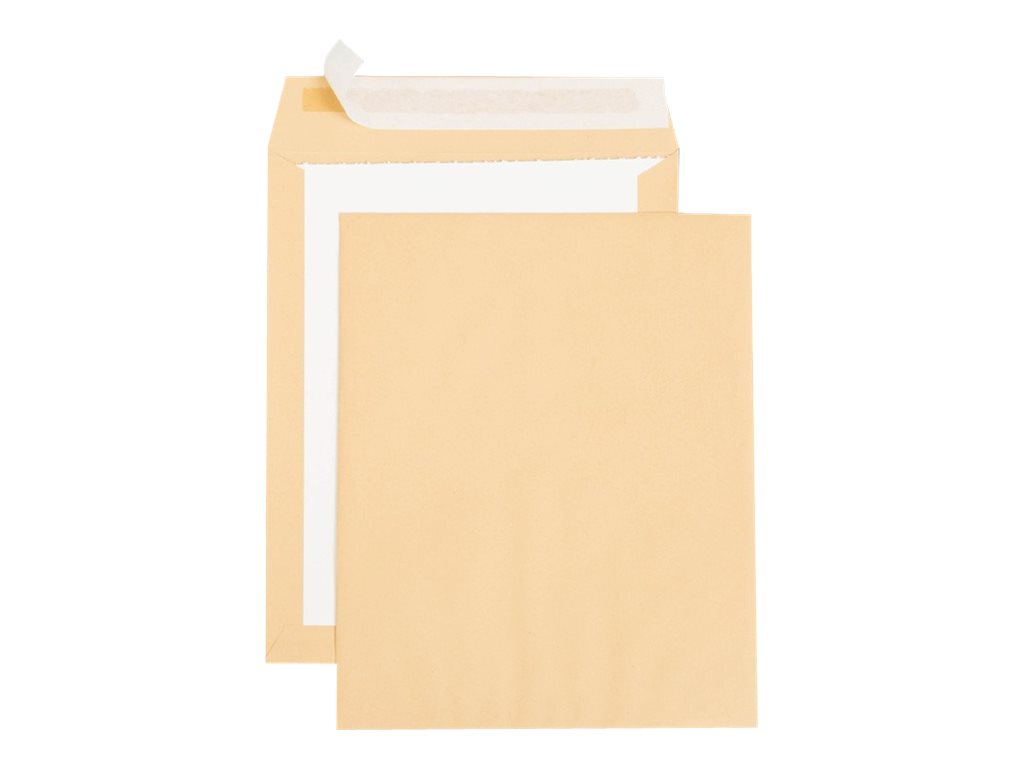 1 Carton de 100 Pochettes de protection kraft brun dos carton rigide 260x330 mm 120g