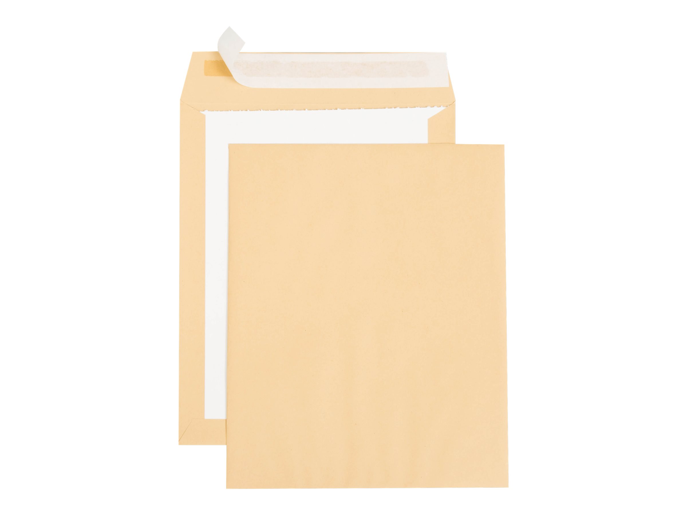 1 Carton de 100 Pochettes de protection kraft brun dos carton rigide 260x330 mm 120g