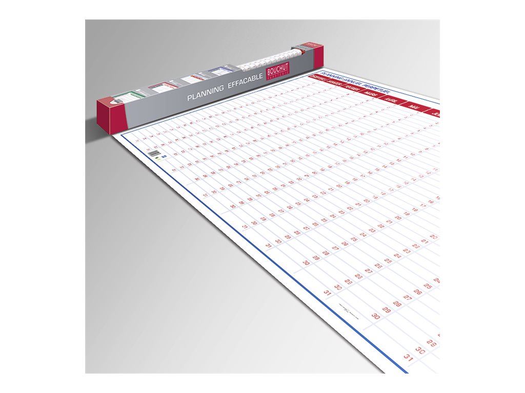 1 Planning annuel perpétuel Bouchut - 60x99 cm