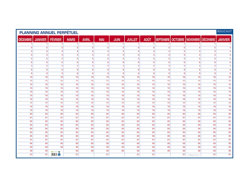 1 Planning annuel perpétuel Bouchut - 60x99 cm
