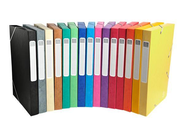 1 Carton de 25 Boîtes de classement EXACOMPTA Cartobox - Dos 2.5cm - assortis