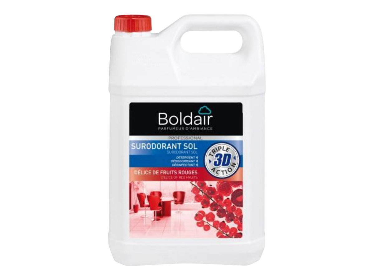 1 Bidon de nettoyant désinfectant surodorant Boldair - 5 litres