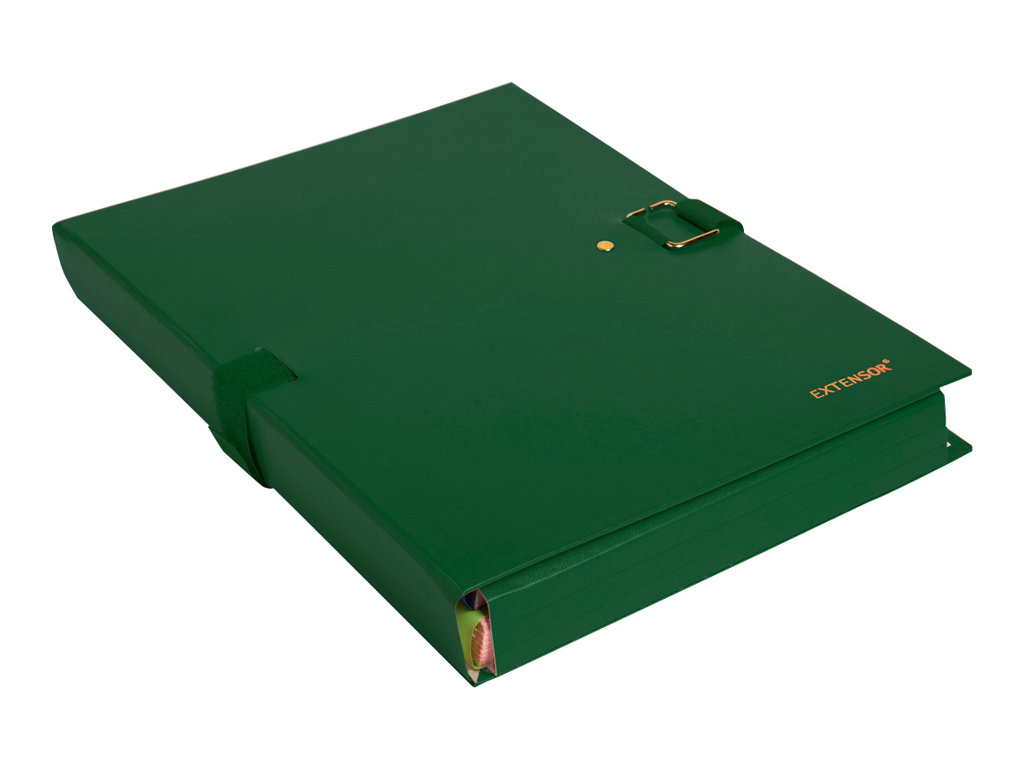 1 Chemise à sangle EXACOMPTA Extensor -vert- largeur max 16 cm