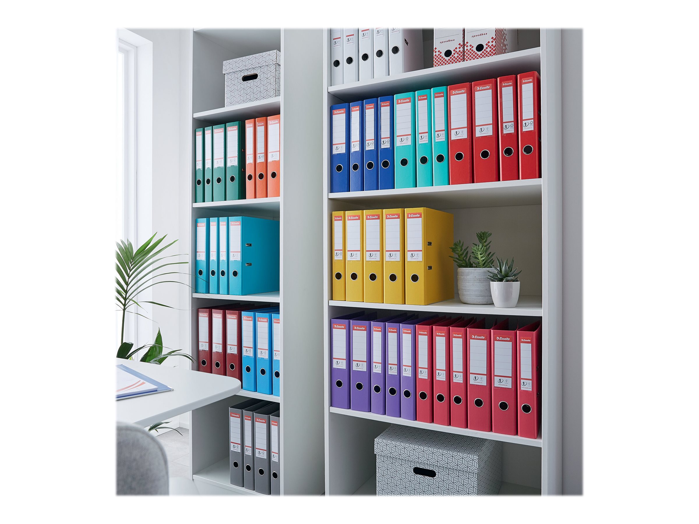 1 Classeur à levier ESSELTE classiques N°1 Power - Dos 5cm Violet