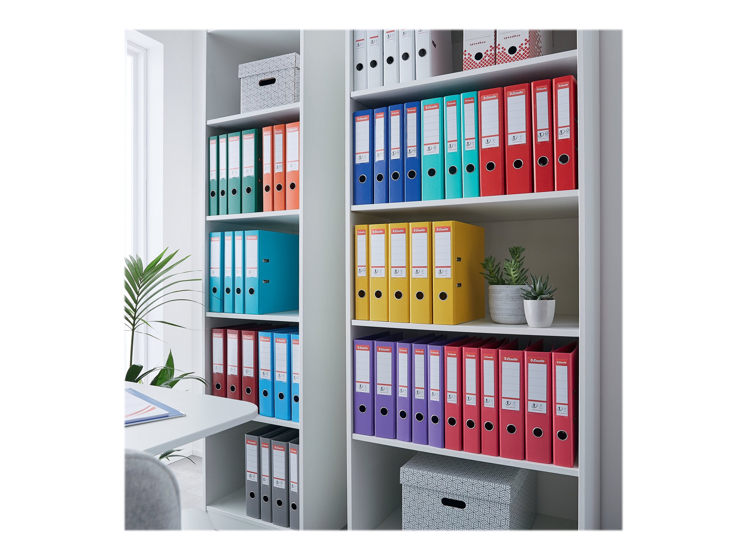 1 Classeur à levier Vivida ESSELTE Vivida N°1 Power - Dos 5cm Gris