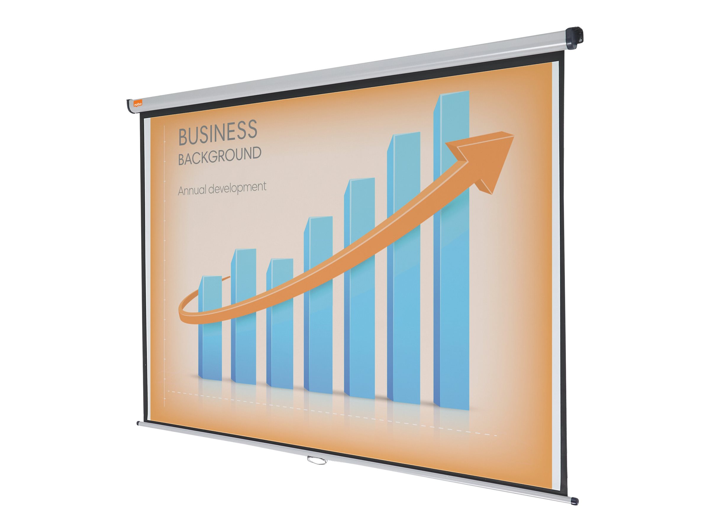 1 Écran mural format 16/10 175 x 109 cm
