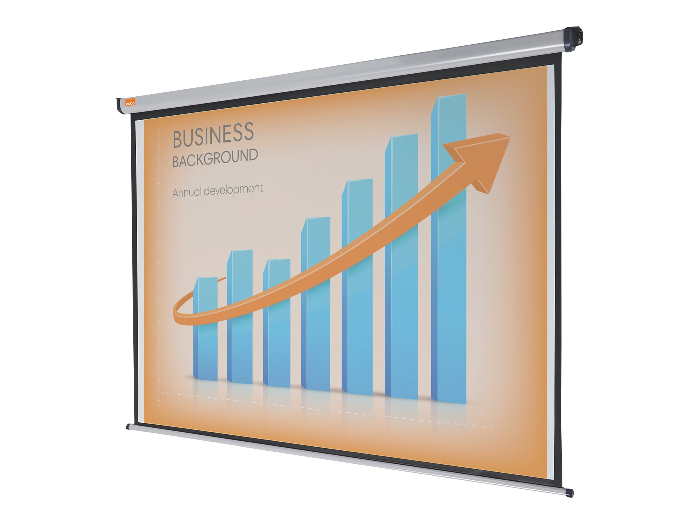 1 Écran mural format 16/10 200 x  135 cm