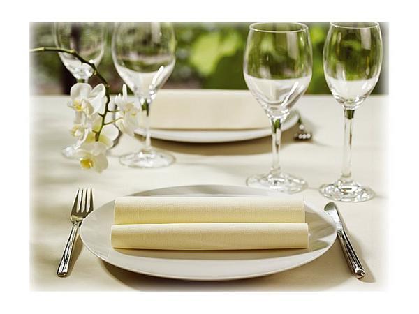 1 Sachet de 125 Serviettes ouate double épaisseur 33x33 cm