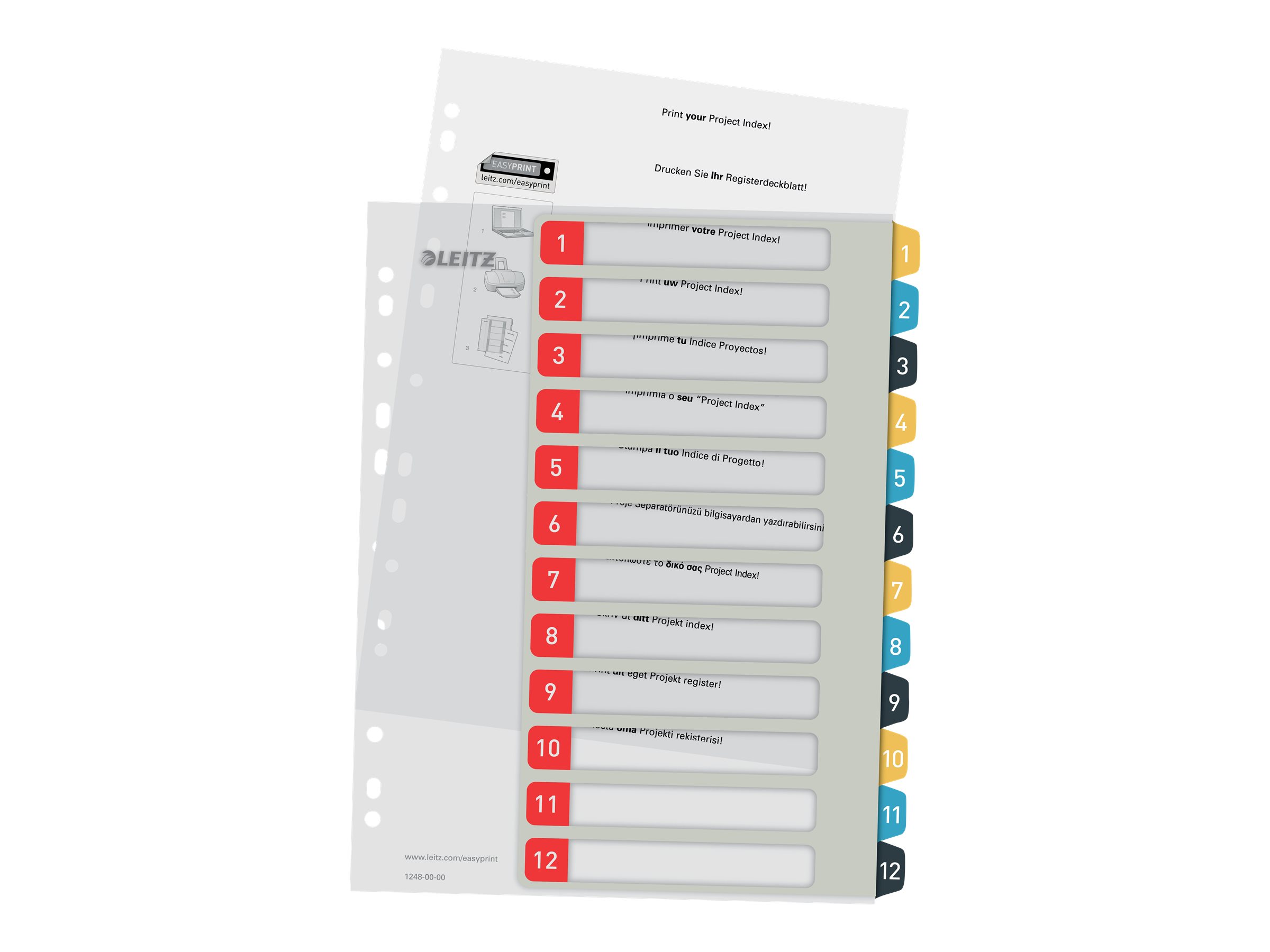 1 Jeu d'intercalaires imprimables LEITZ - A4 - 12 onglets