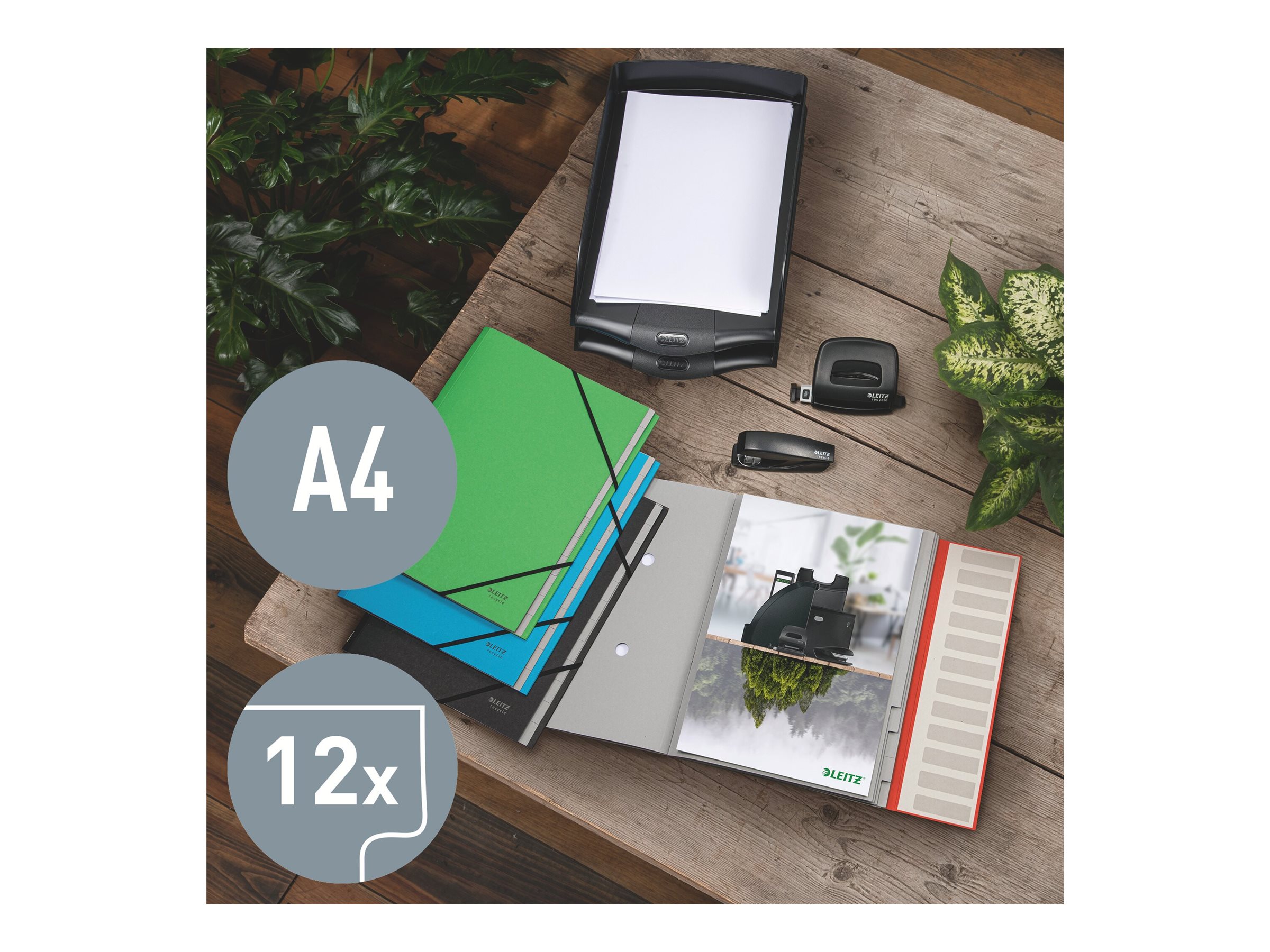 1 Trieur avec élastiques LEITZ 12 touches - 100% recyclé - Vert