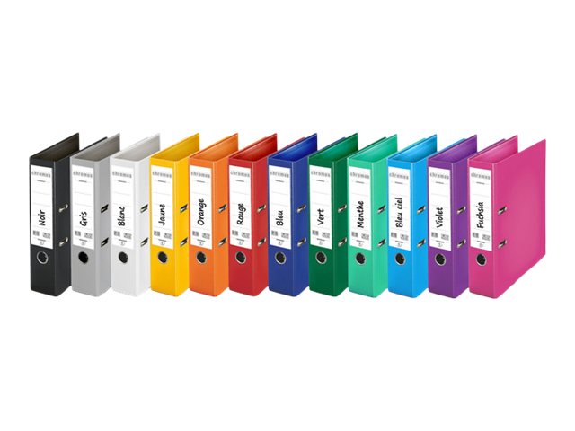 1 Lot de 10 Classeur à levier Chromos ESSELTE - Assortis